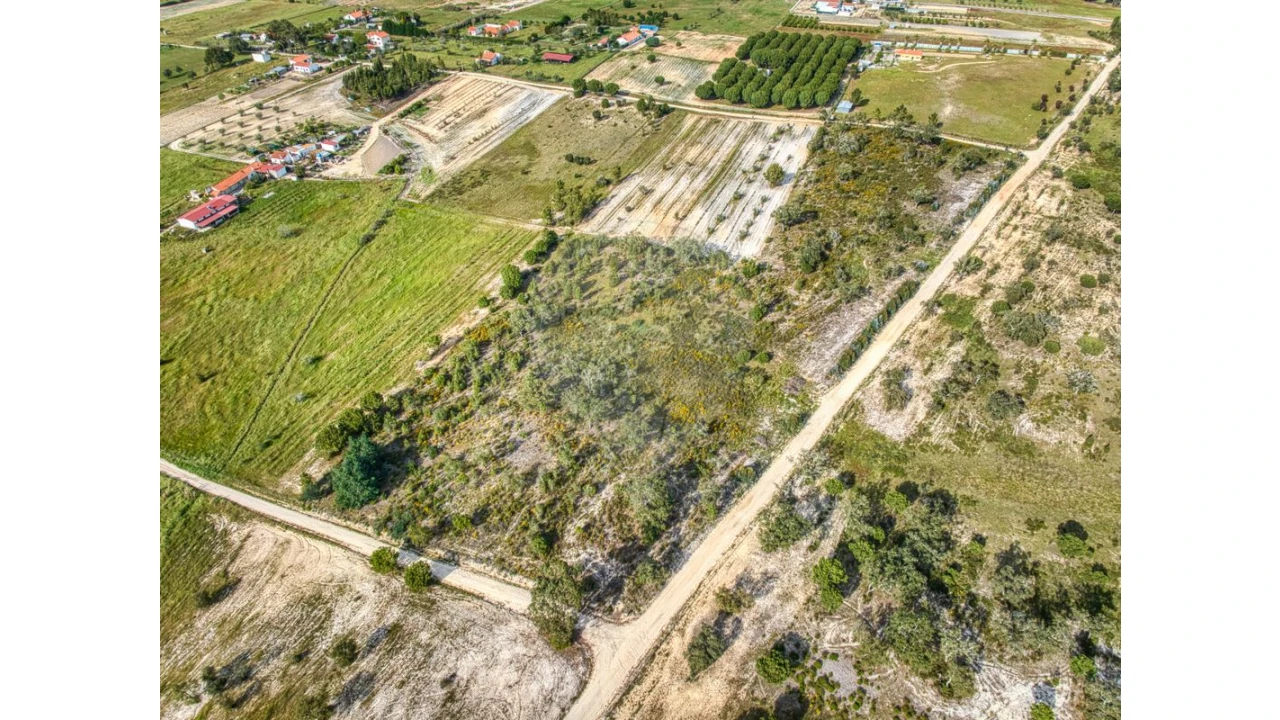 Terreno para Venda em Branca Foto 4