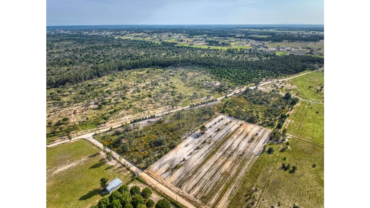 Terreno para Venda em Branca Foto 7