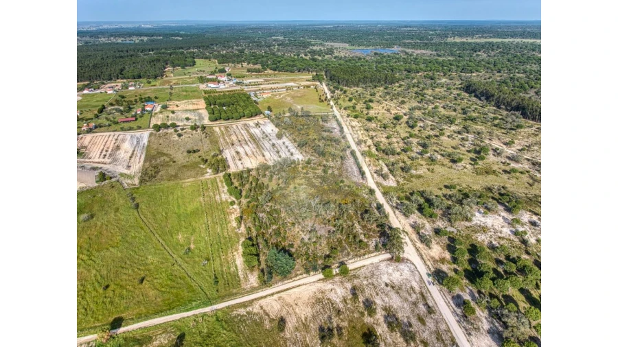 Terreno para Venda em Branca Foto 10