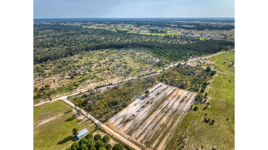 Terreno para Venda em Branca Foto 7