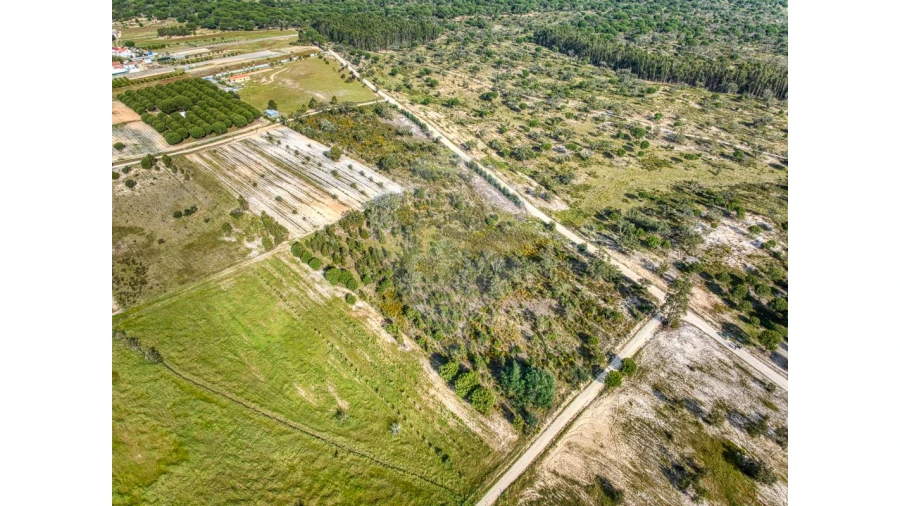 Terreno para Venda em Branca Foto 9