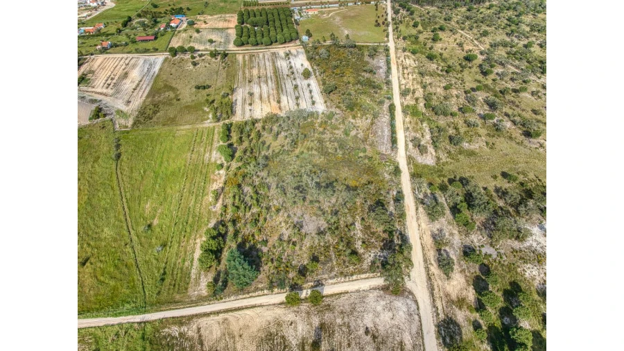 Terreno para Venda em Branca Foto 2