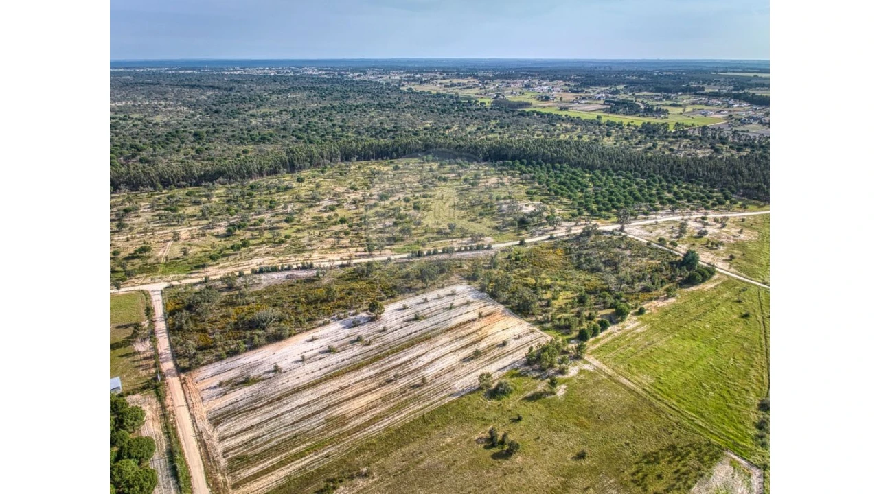 Terreno para Venda em Branca Foto 8