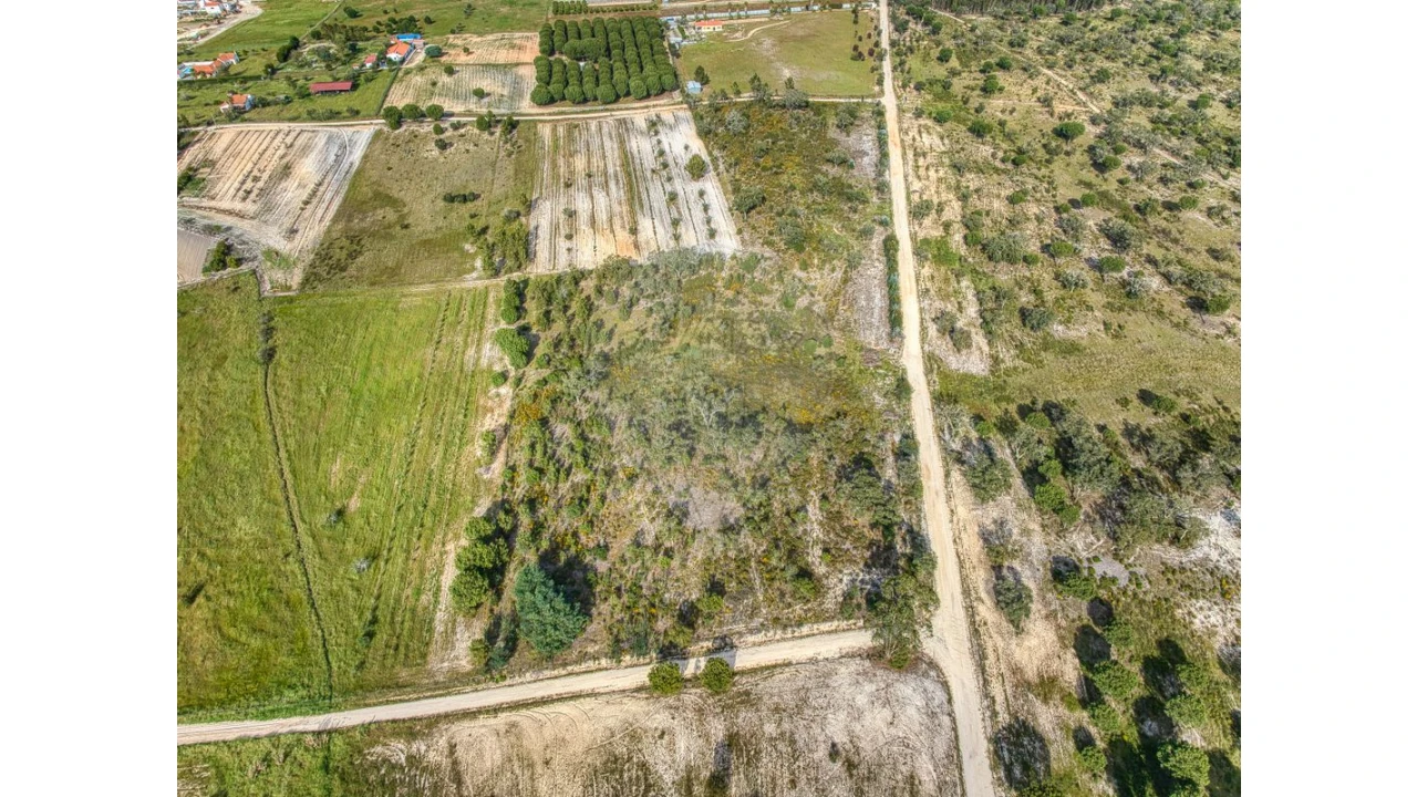 Terreno para Venda em Branca Foto 2