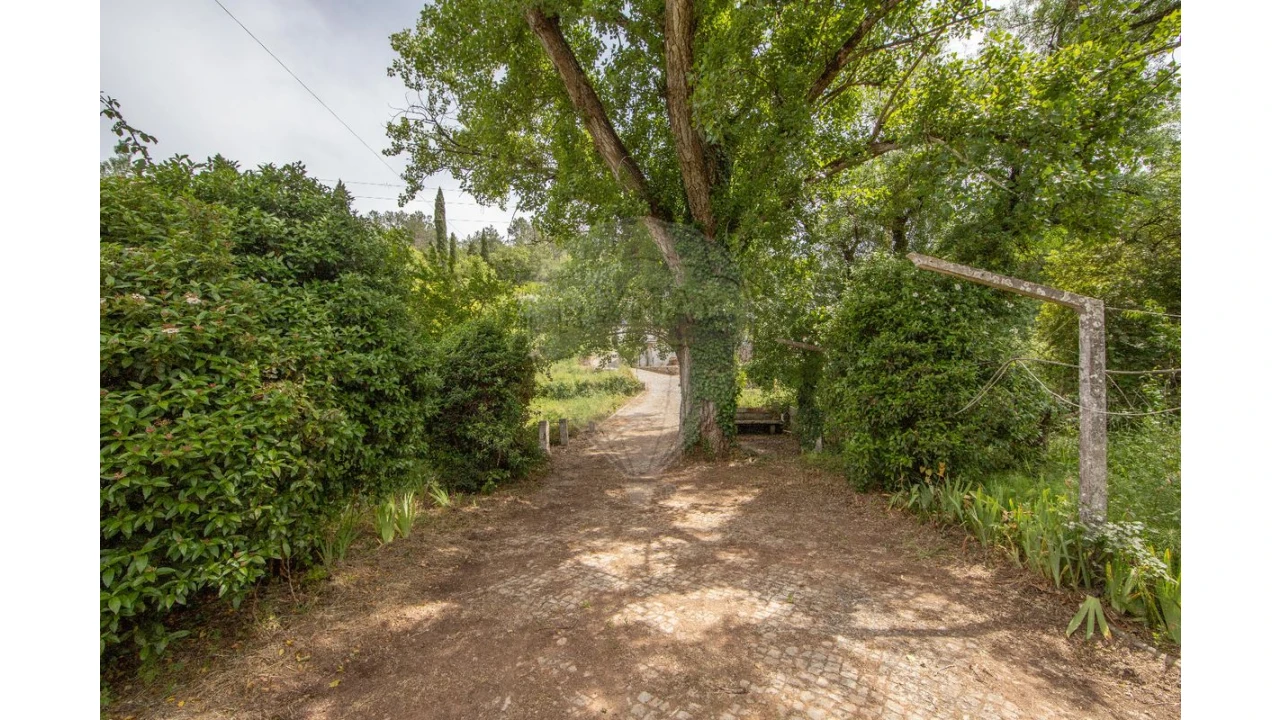 Quinta T4 para Venda em Azeitão (São Lourenço e São Simão) Foto 35