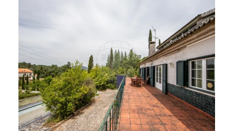 Quinta T4 para Venda em Azeitão (São Lourenço e São Simão)