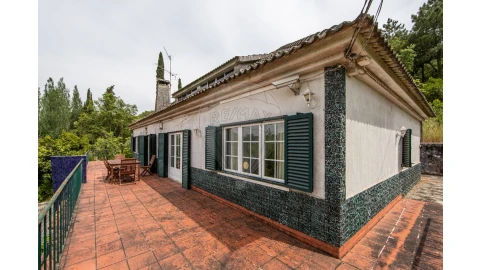 Quinta T4 para Venda em Azeitão (São Lourenço e São Simão)