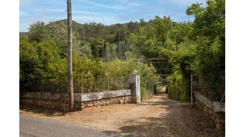 Quinta T4 para Venda em Azeitão (São Lourenço e São Simão)