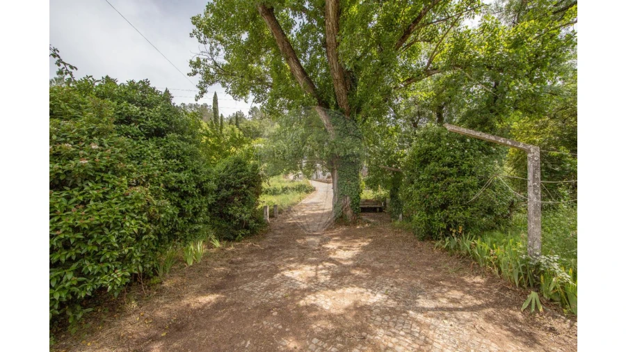 Quinta T4 para Venda em Azeitão (São Lourenço e São Simão) Foto 35