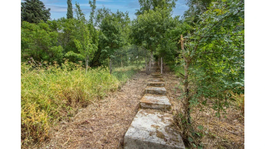 Quinta T4 para Venda em Azeitão (São Lourenço e São Simão) Foto 9