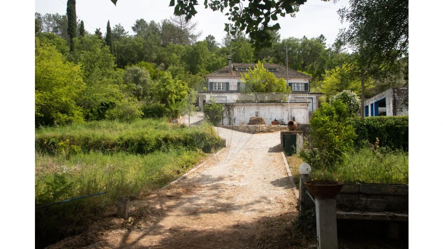 Quinta T4 para Venda em Azeitão (São Lourenço e São Simão) Foto 36