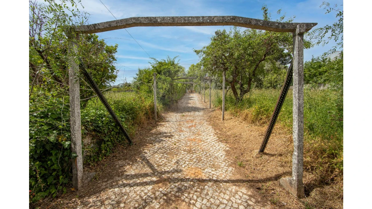 Quinta T4 para Venda em Azeitão (São Lourenço e São Simão) Foto 40