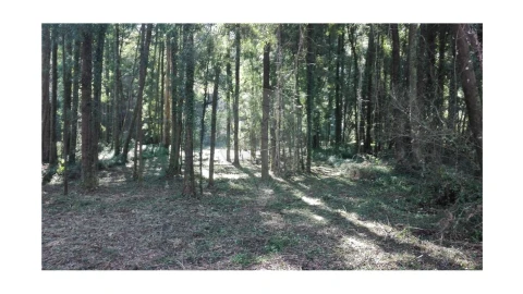 Terreno para Venda em Anta e Guetim