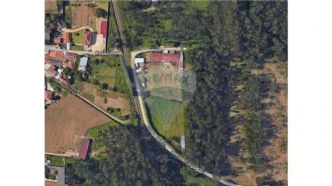 Terreno para Venda em Silvalde