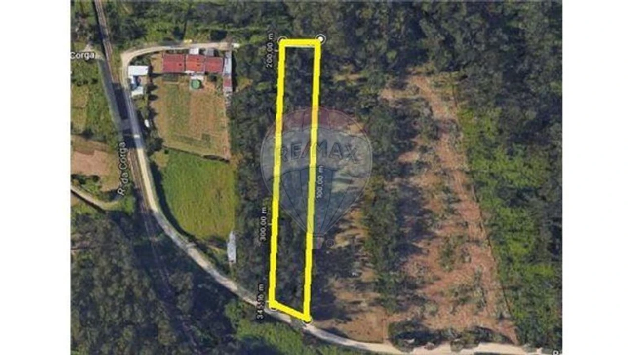 Terreno para Venda em Silvalde Foto 3