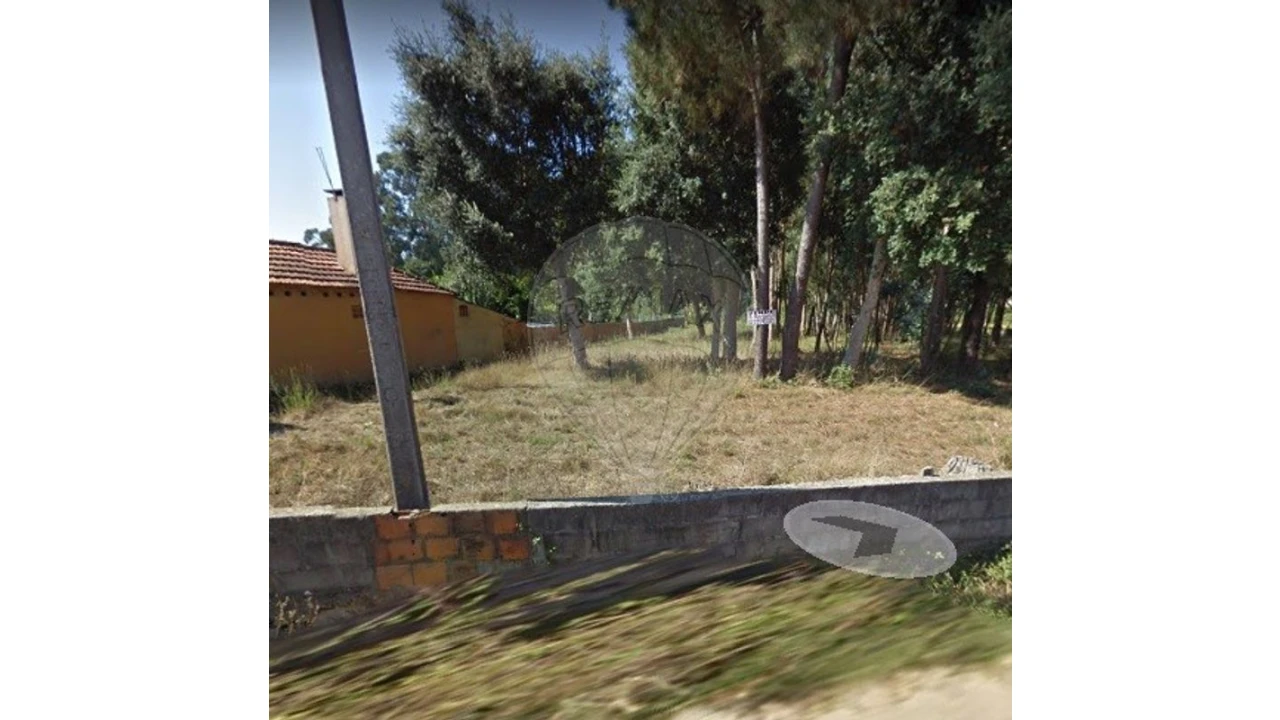 Terreno para Venda em Loureiro Foto 6