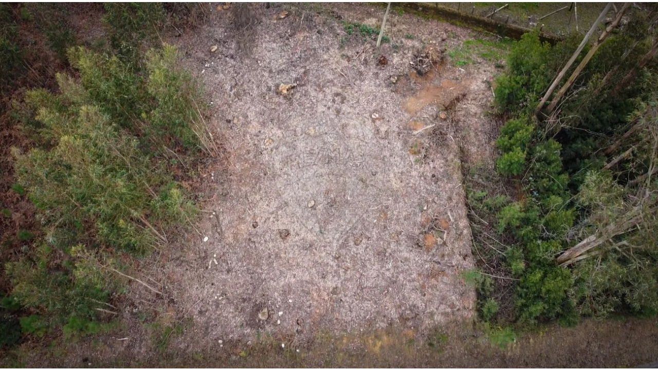 Terreno para Venda em Grijó e Sermonde Foto 7