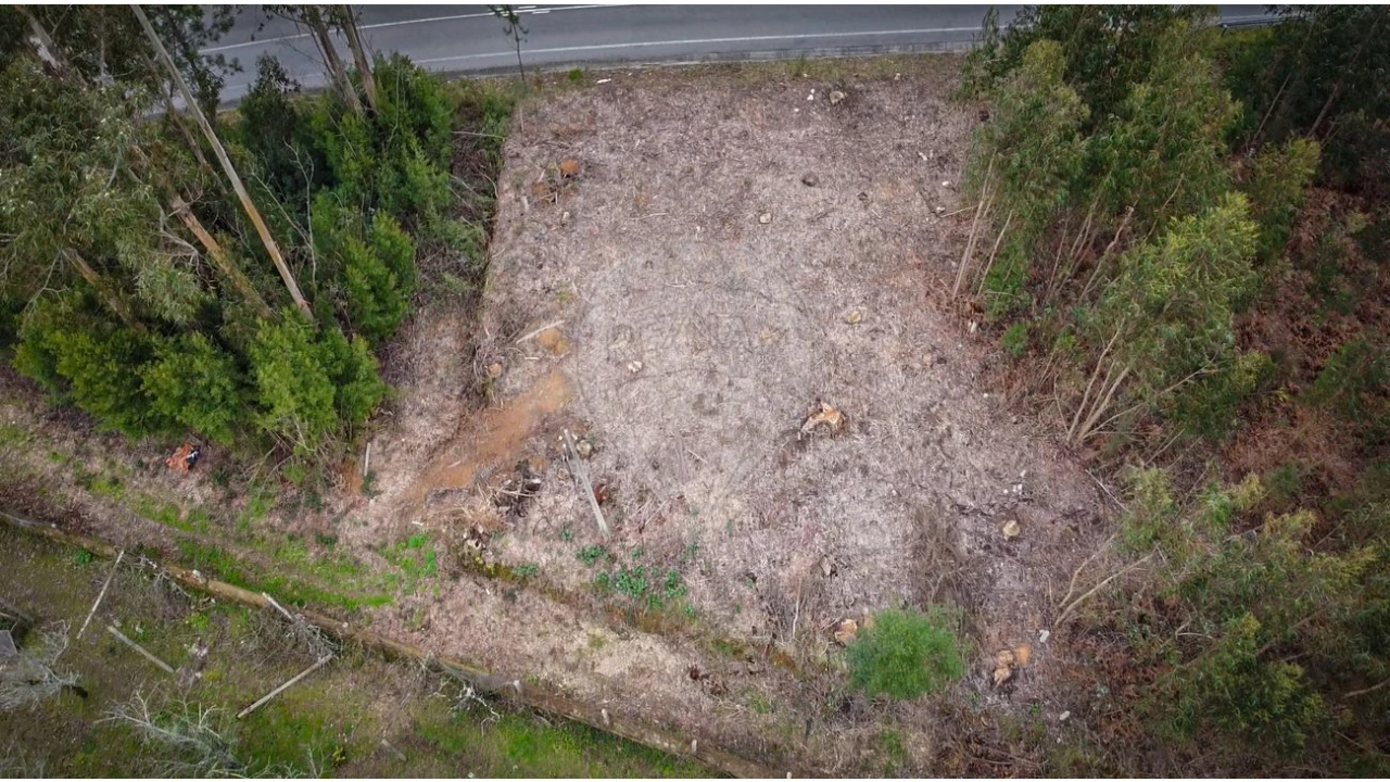 Terreno para Venda em Grijó e Sermonde Foto 5