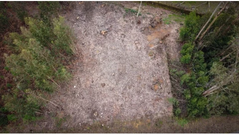 Terreno para Venda em Grijó e Sermonde