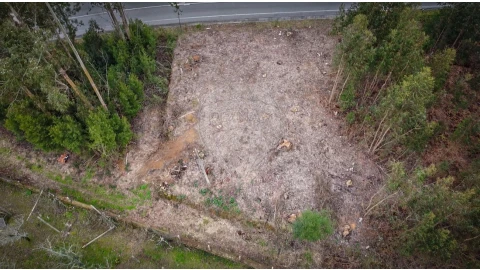 Terreno para Venda em Grijó e Sermonde