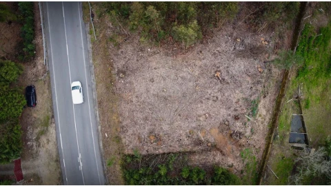 Terreno para Venda em Grijó e Sermonde