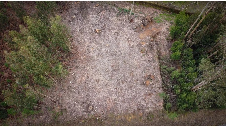Terreno para Venda em Grijó e Sermonde Foto 7