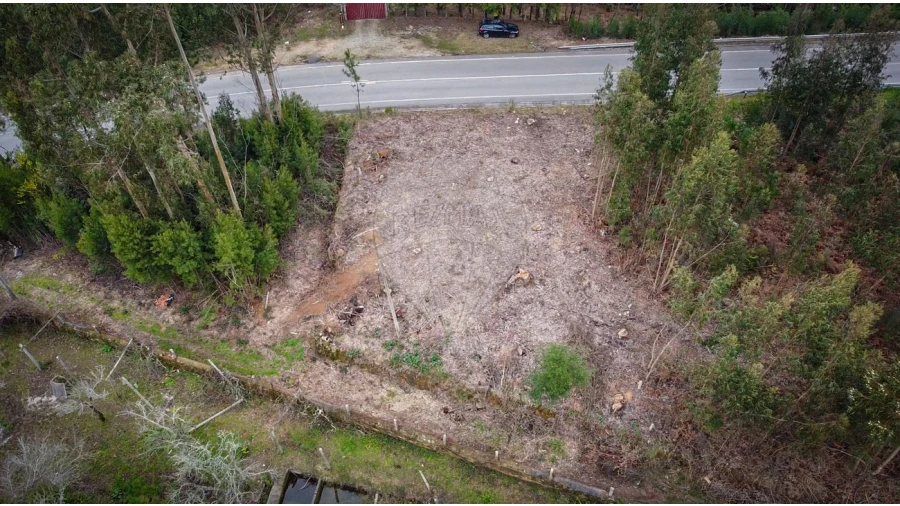 Terreno para Venda em Grijó e Sermonde Foto 3