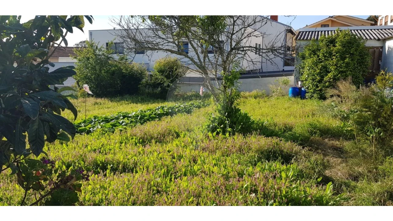 Terreno para Venda em Anta e Guetim Foto 1