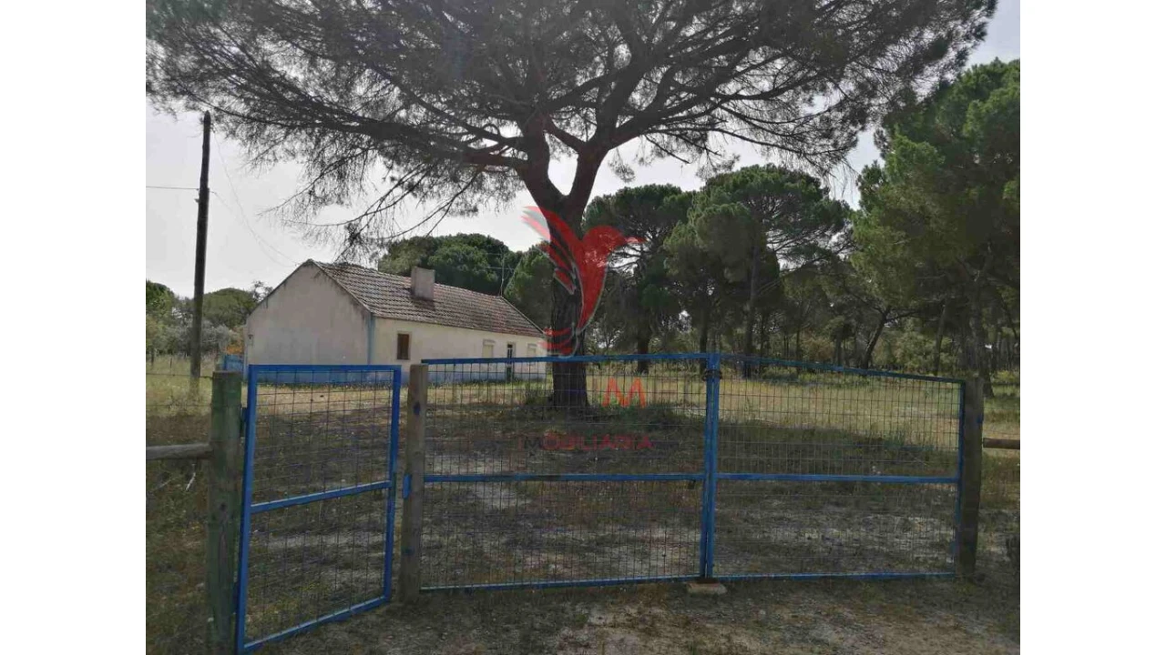 Quinta T2 para Venda em Grândola e Santa Margarida da Serra Foto 4