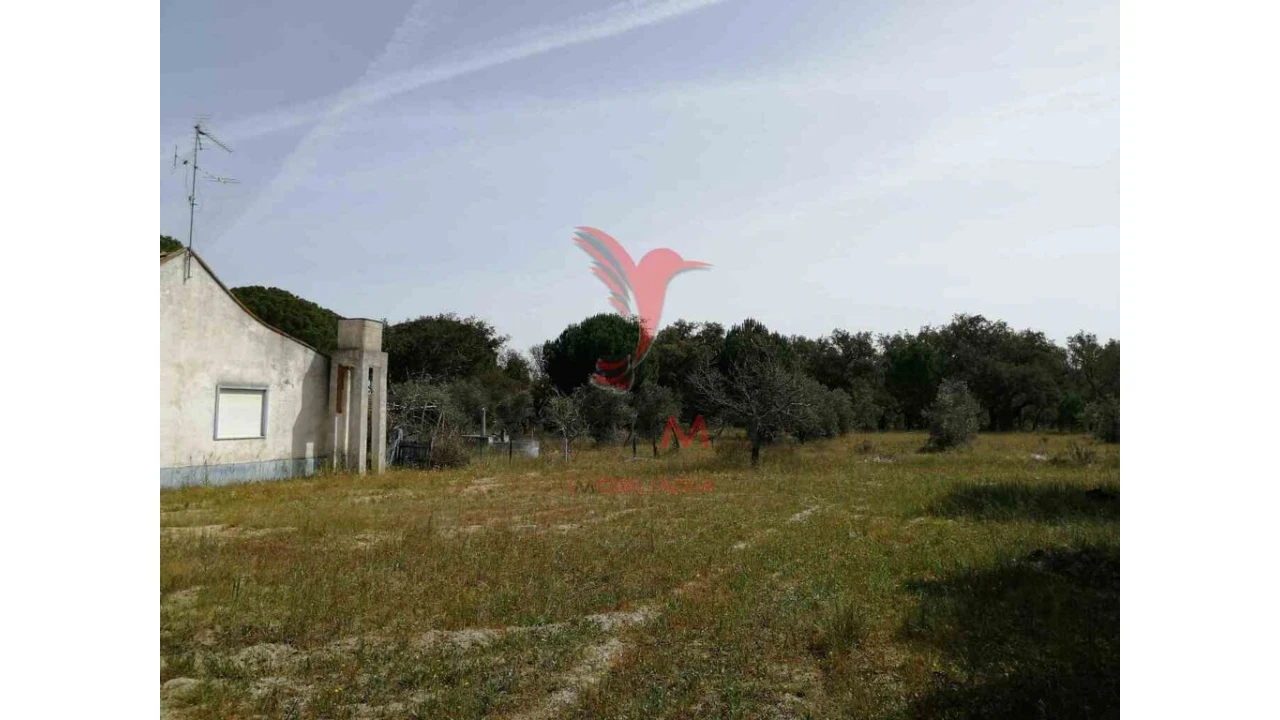 Quinta T2 para Venda em Grândola e Santa Margarida da Serra Foto 10