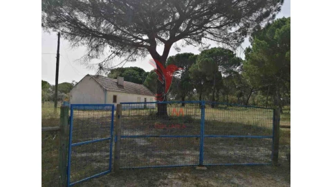 Quinta T2 para Venda em Grândola e Santa Margarida da Serra
