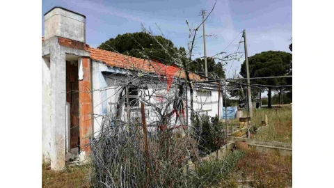 Quinta T2 para Venda em Grândola e Santa Margarida da Serra