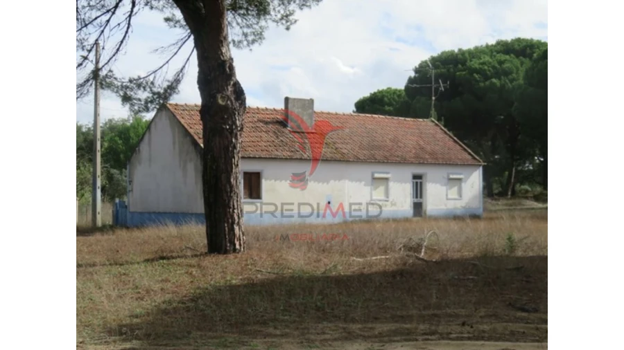 Quinta T2 para Venda em Grândola e Santa Margarida da Serra Foto 3