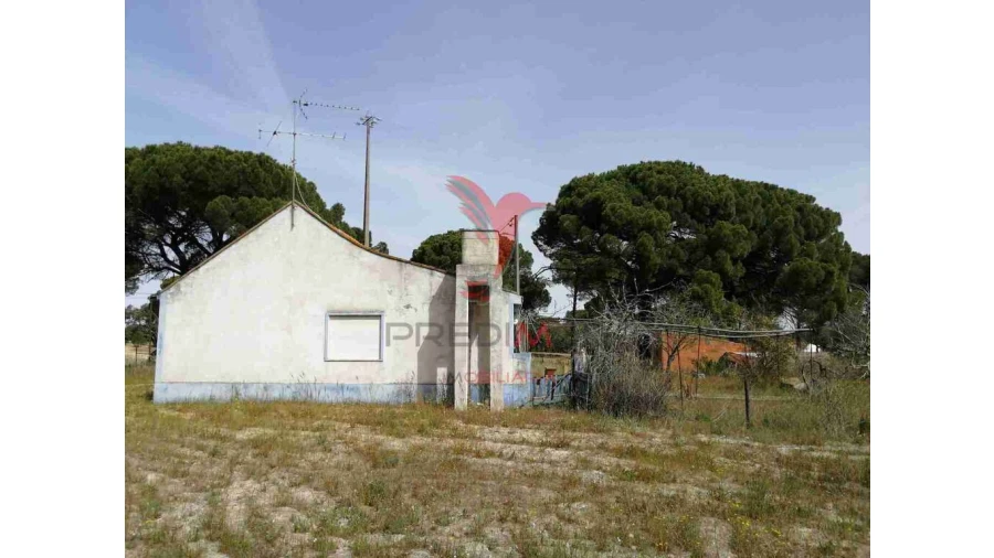Quinta T2 para Venda em Grândola e Santa Margarida da Serra Foto 9