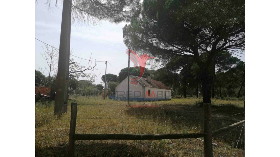 Quinta T2 para Venda em Grândola e Santa Margarida da Serra Foto 7