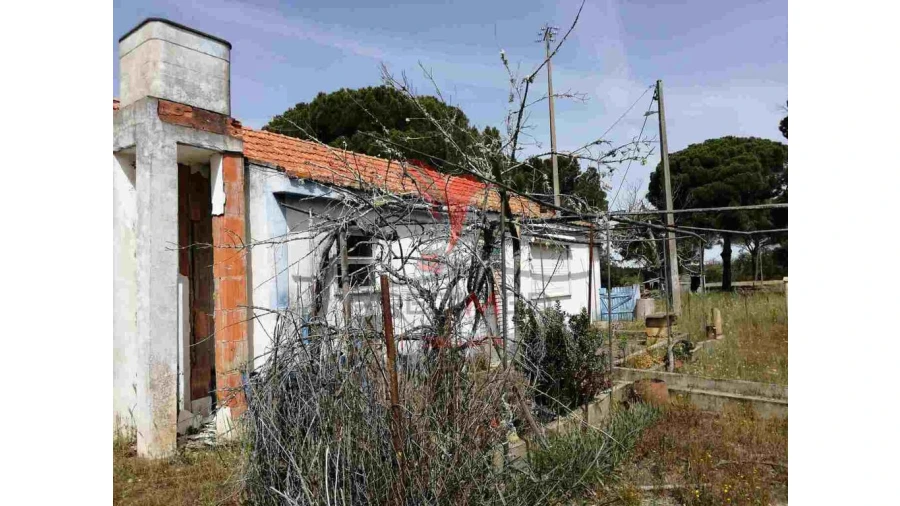 Quinta T2 para Venda em Grândola e Santa Margarida da Serra Foto 13
