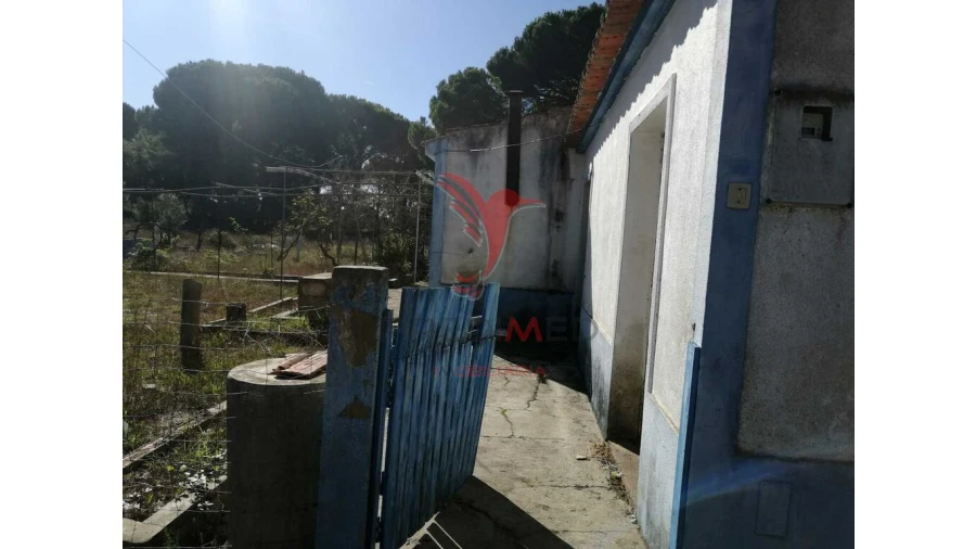 Quinta T2 para Venda em Grândola e Santa Margarida da Serra Foto 14