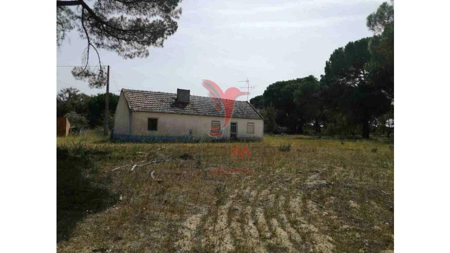 Quinta T2 para Venda em Grândola e Santa Margarida da Serra Foto 6
