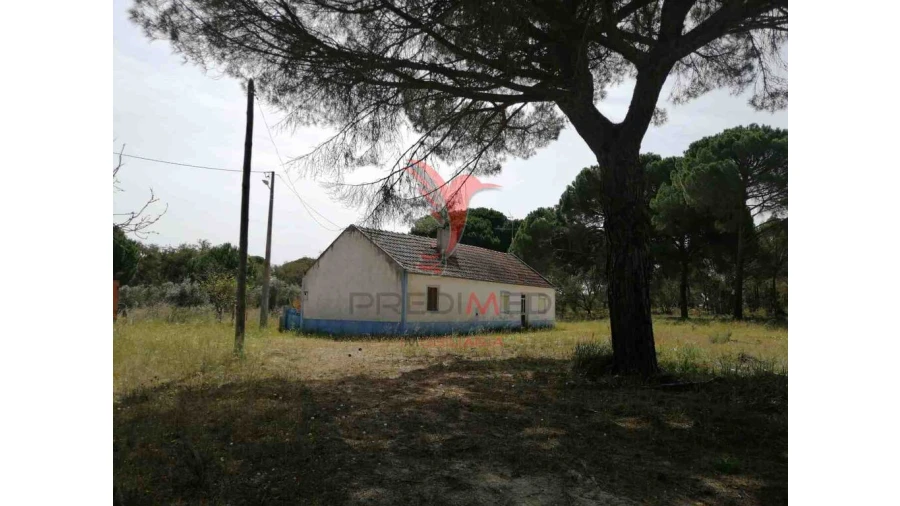 Quinta T2 para Venda em Grândola e Santa Margarida da Serra Foto 5