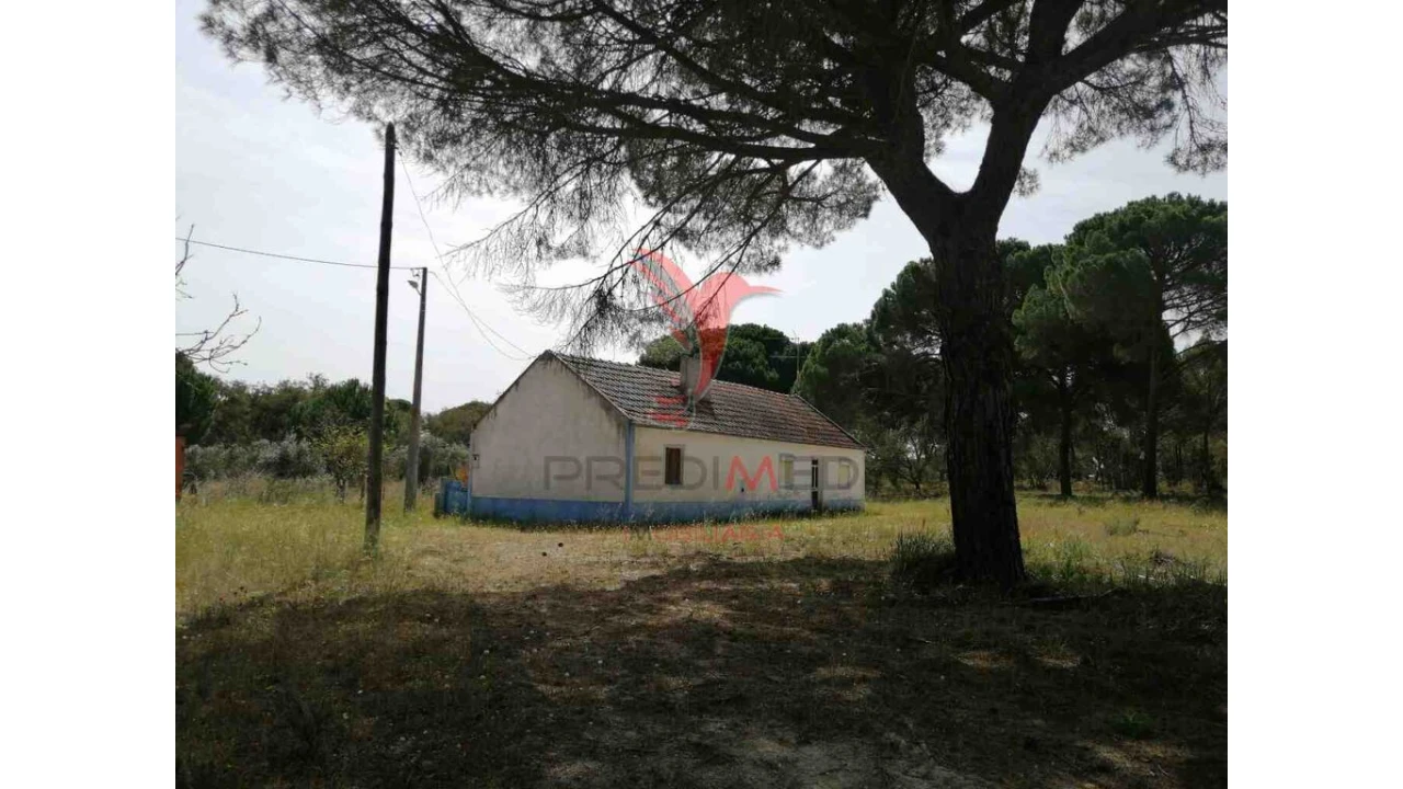Quinta T2 para Venda em Grândola e Santa Margarida da Serra Foto 5