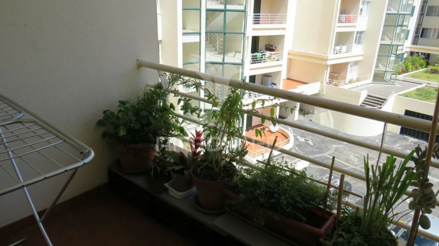 Apartamento T3 para Venda em São Martinho Foto 13