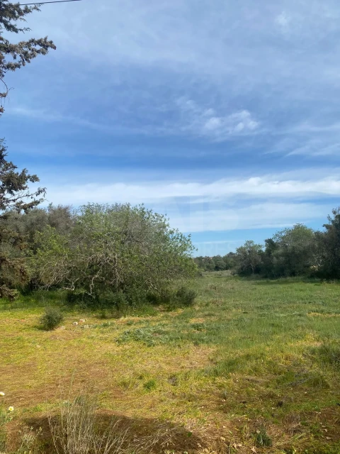 Terreno para Venda em Ferreiras