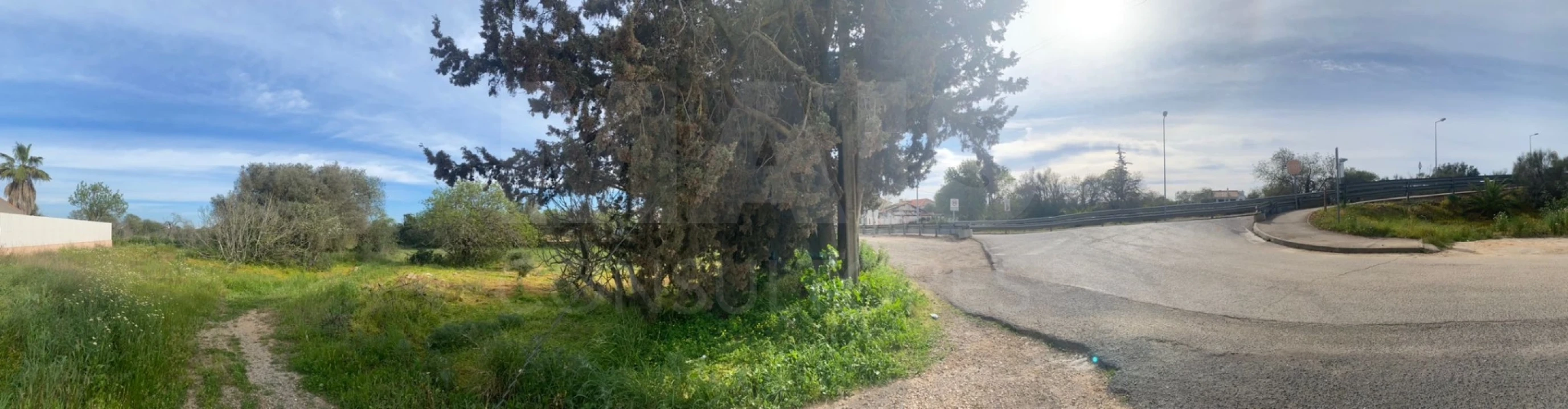 Terreno para Venda em Ferreiras Foto 3