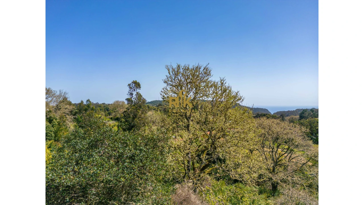 Terreno para Venda em Santo Antonio da Serra Foto 15