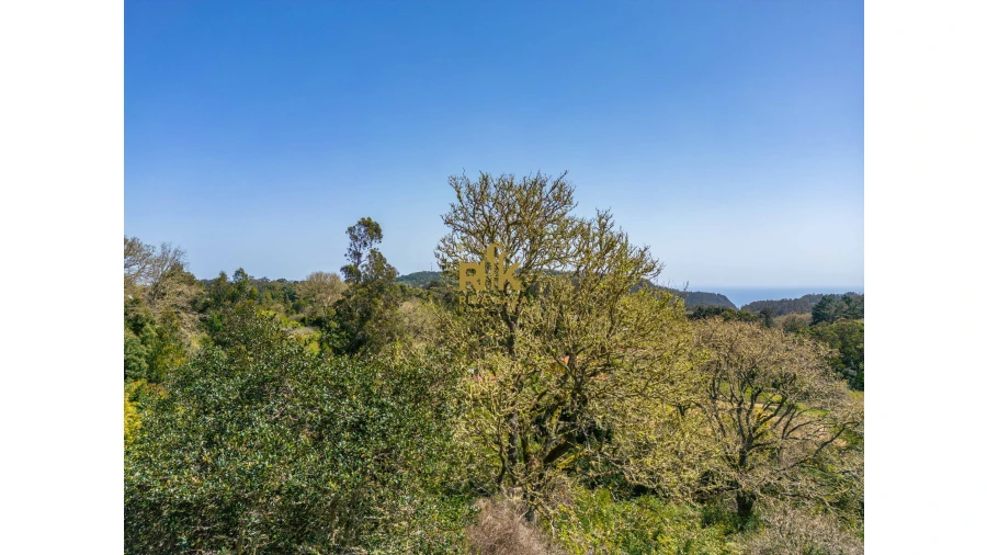 Terreno para Venda em Santo Antonio da Serra Foto 15