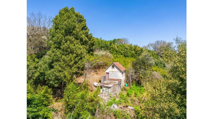 Terreno para Venda em Santo Antonio da Serra Foto 12