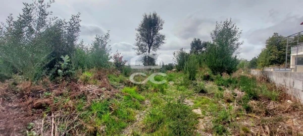 Terreno para Venda em Cavernães