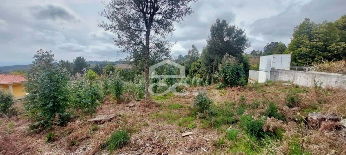 Terreno para Venda em Cavernães Foto 4