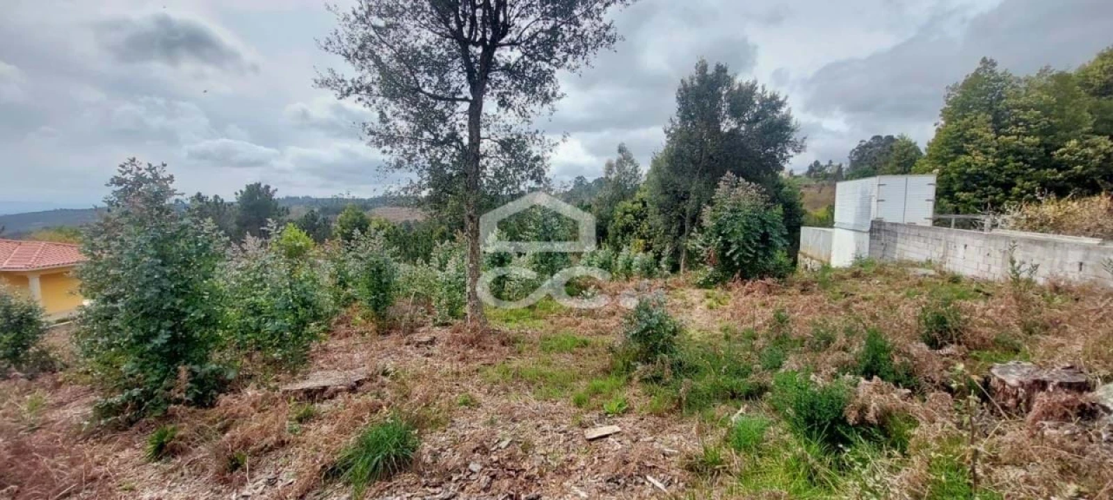 Terreno para Venda em Cavernães Foto 4