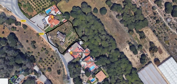 Terreno para Venda em Almancil